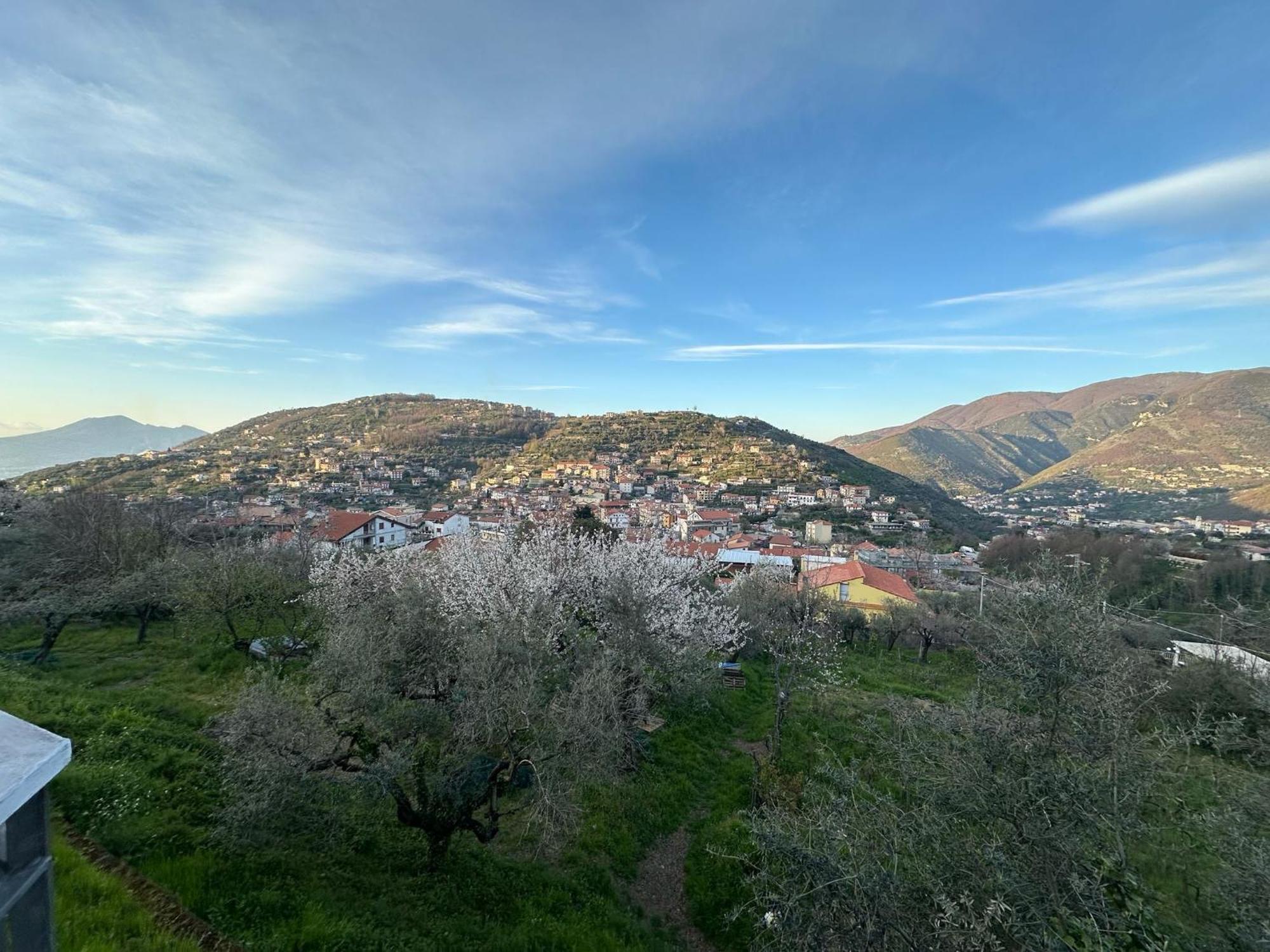 Bed And Breakfast Il Ceppo Wild Pimonte Exterior photo